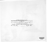 Image Associated With the Occurrence